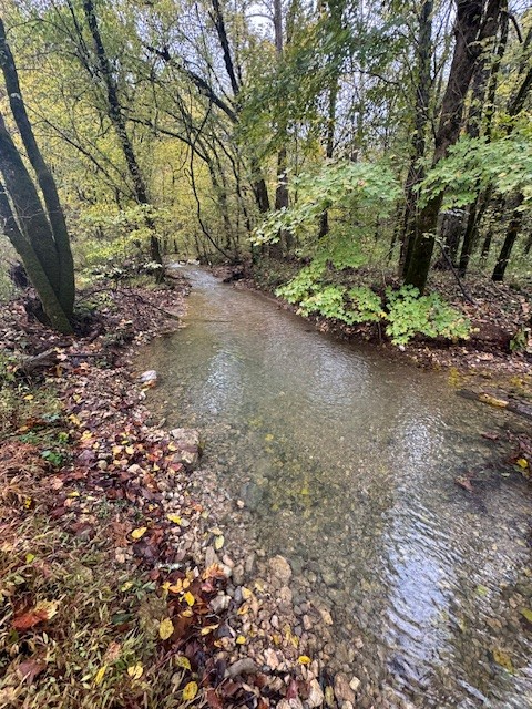 0 McBroom Branch Road Baxter, TN 38544 - Photo 4 of 31