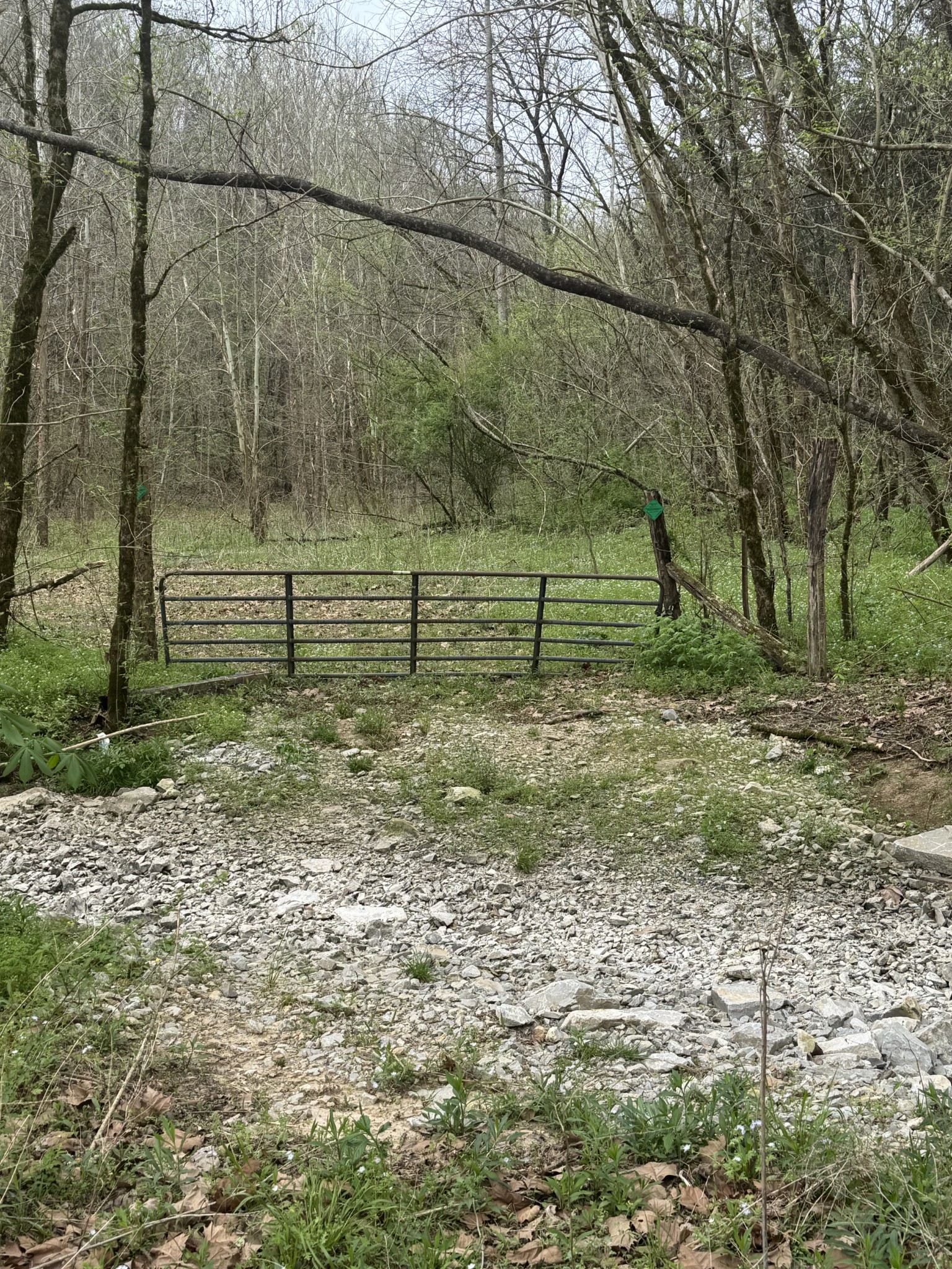 0 McBroom Branch Road Baxter, TN 38544 - Photo 5 of 31