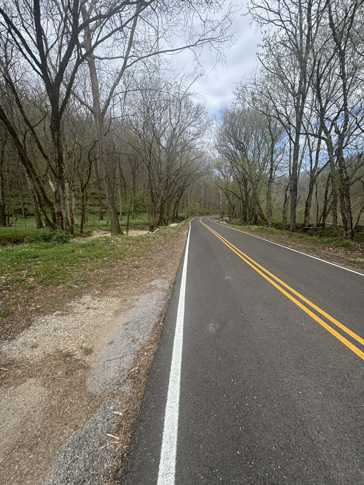 0 McBroom Branch Road Baxter, TN 38544 - Photo 9 of 31