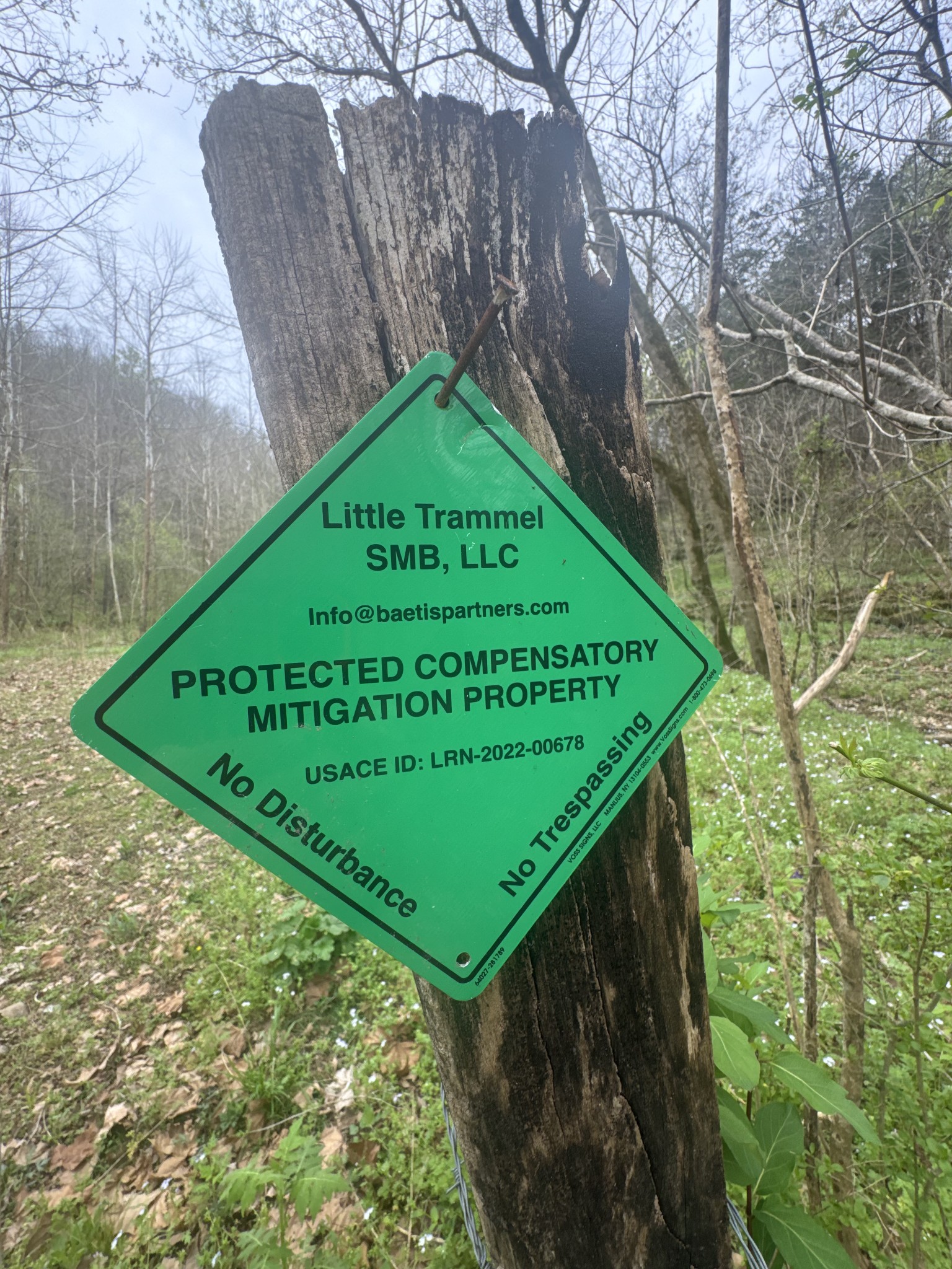 0 McBroom Branch Road Baxter, TN 38544 - Photo 10 of 31