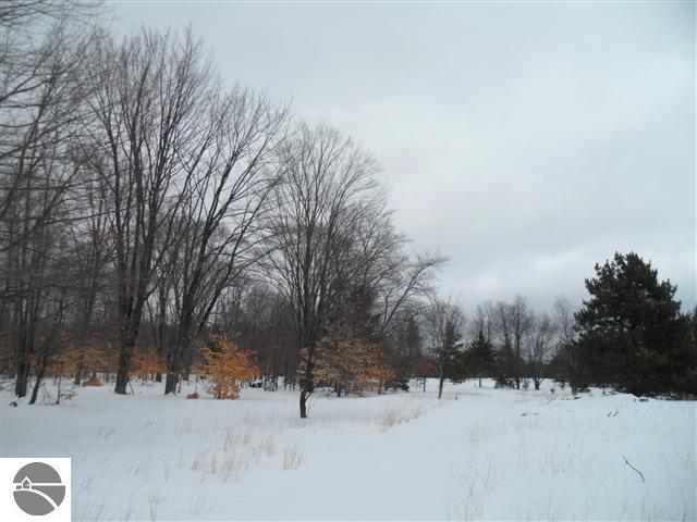 6156 West 50 Road Cadillac, MI 49601 - Photo 17 of 44 1742860-16.JPG