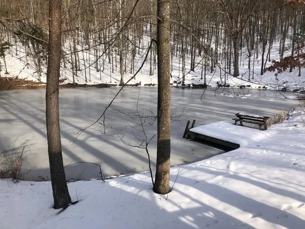 $550,000 | Lot 1 Hopkins Gap Road, Fulks Run, VA 22830