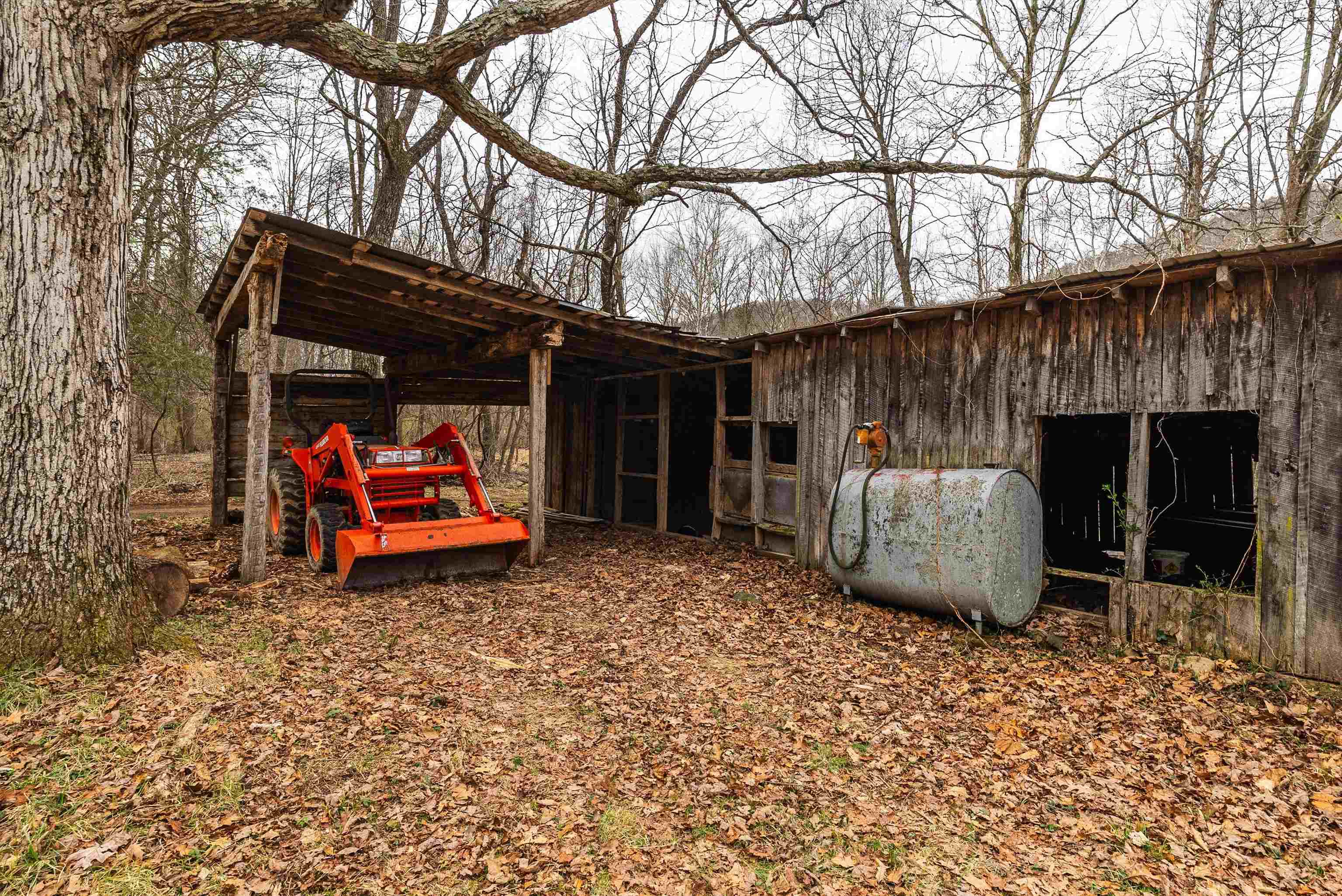 Lot 1 Hopkins Gap Road Fulks Run, VA 22830 - Photo 31 of 74