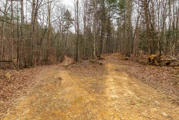 $550,000 | Lot 1 Hopkins Gap Road, Fulks Run, VA 22830
