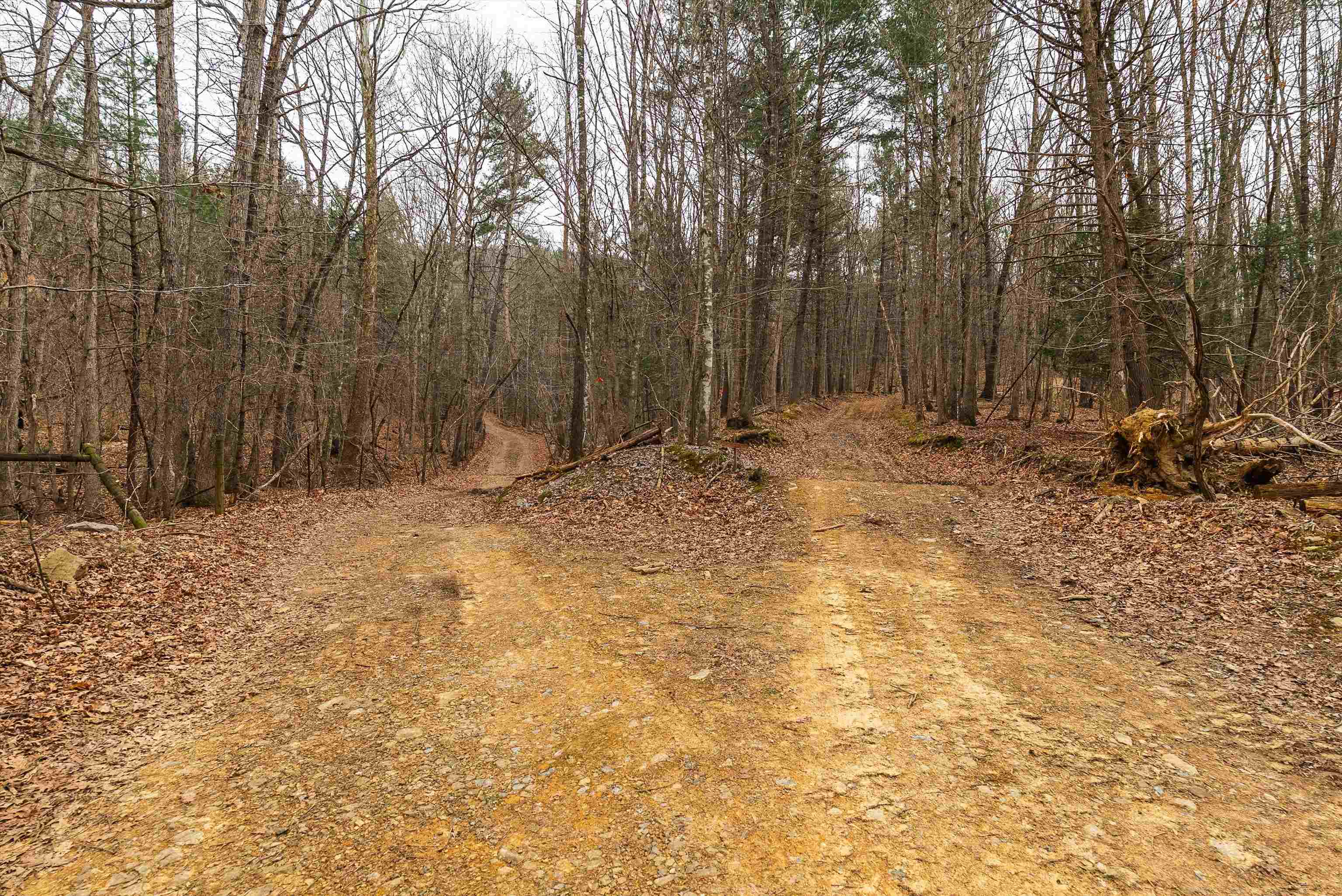Lot 1 Hopkins Gap Road Fulks Run, VA 22830 - Photo 35 of 74