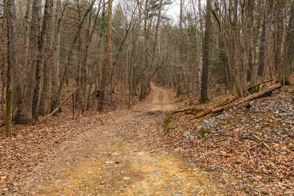 $550,000 | Lot 1 Hopkins Gap Road, Fulks Run, VA 22830