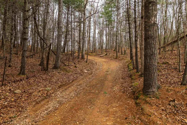 $550,000 | Lot 1 Hopkins Gap Road, Fulks Run, VA 22830