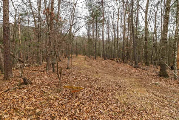 $550,000 | Lot 1 Hopkins Gap Road, Fulks Run, VA 22830
