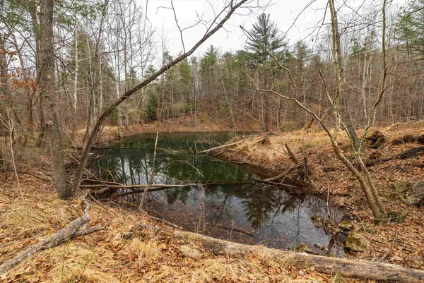 $550,000 | Lot 1 Hopkins Gap Road, Fulks Run, VA 22830