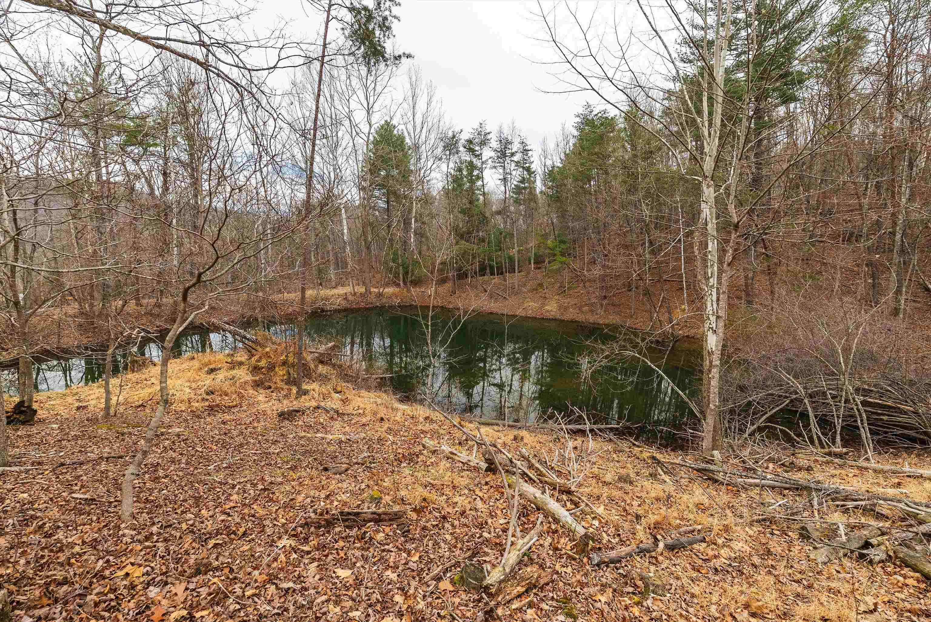 Lot 1 Hopkins Gap Road Fulks Run, VA 22830 - Photo 42 of 74
