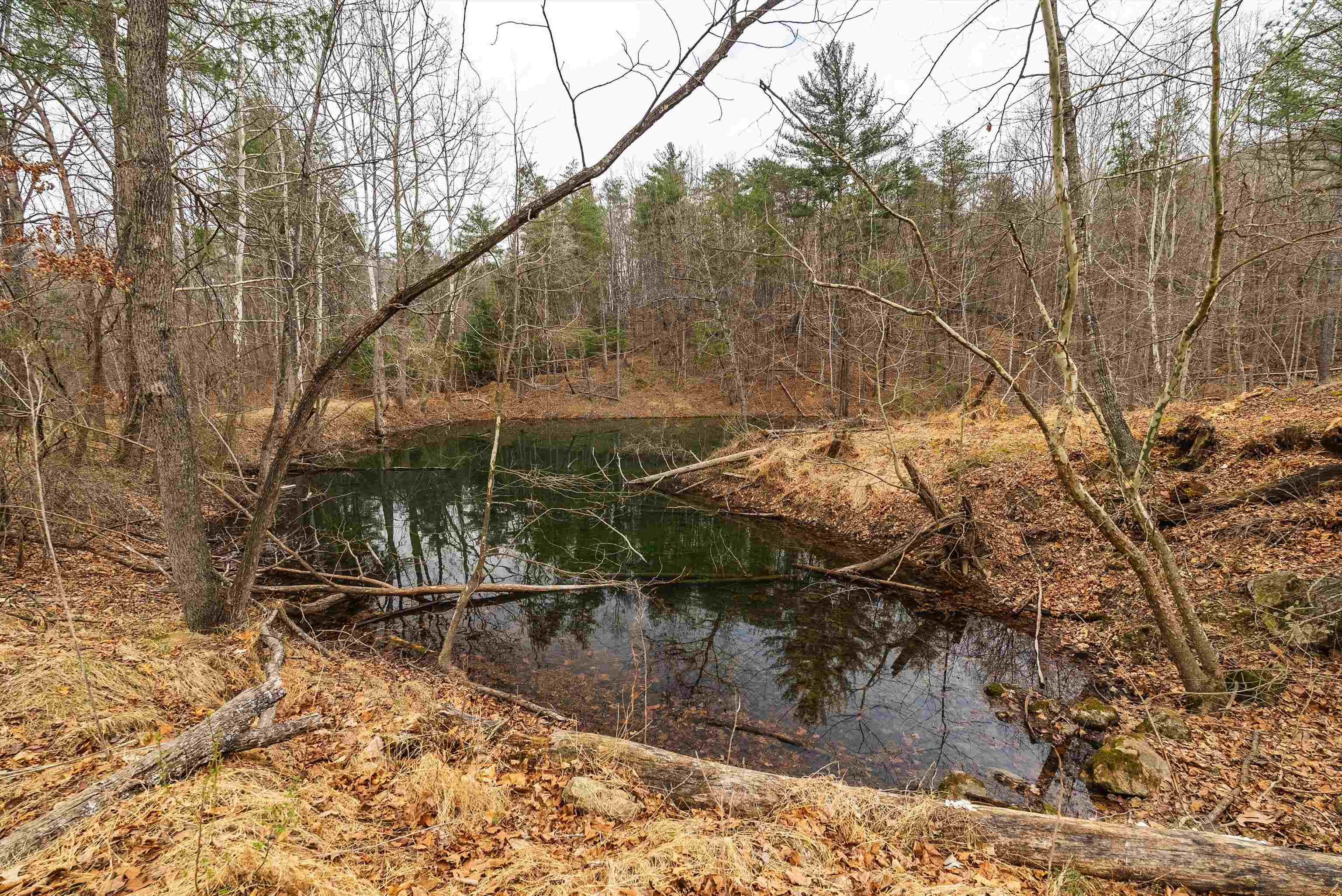 Lot 1 Hopkins Gap Road Fulks Run, VA 22830 - Photo 42 of 74 a view of swimming pool with a yard