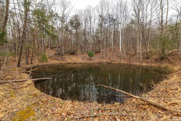 $550,000 | Lot 1 Hopkins Gap Road, Fulks Run, VA 22830