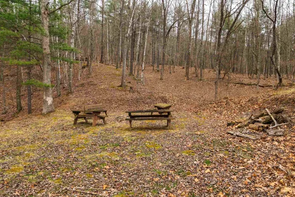 $550,000 | Lot 1 Hopkins Gap Road, Fulks Run, VA 22830