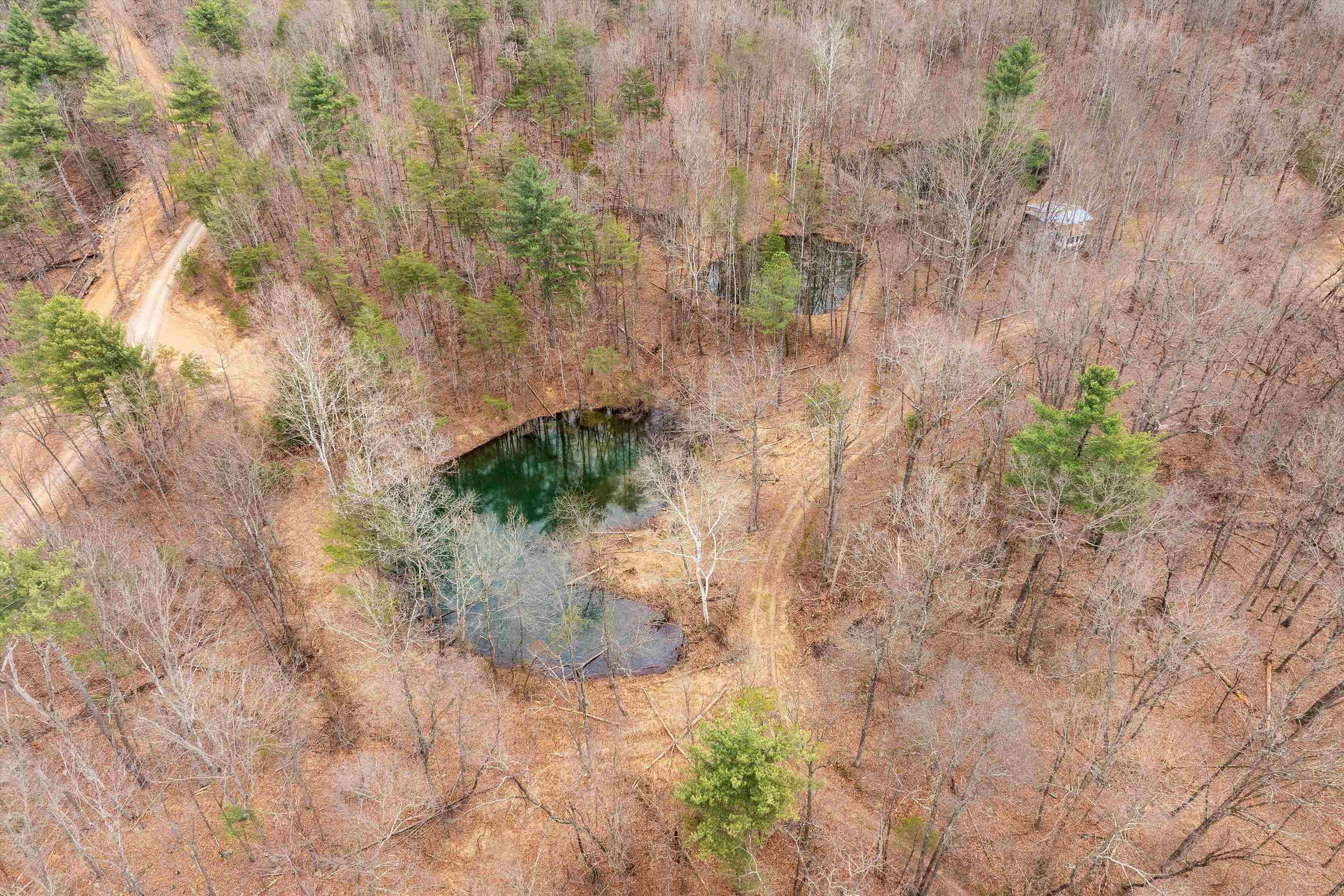 Lot 1 Hopkins Gap Road Fulks Run, VA 22830 - Photo 46 of 74