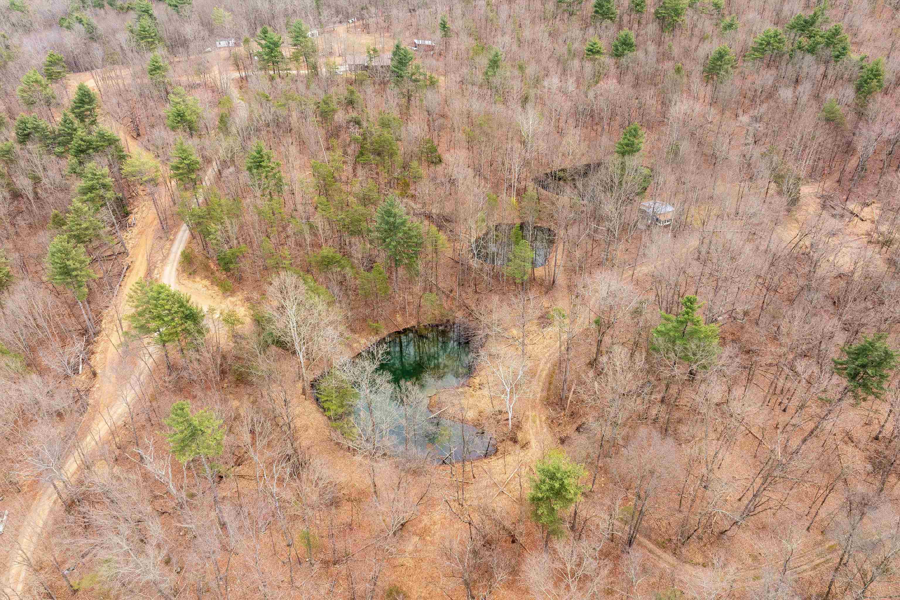 Lot 1 Hopkins Gap Road Fulks Run, VA 22830 - Photo 47 of 74