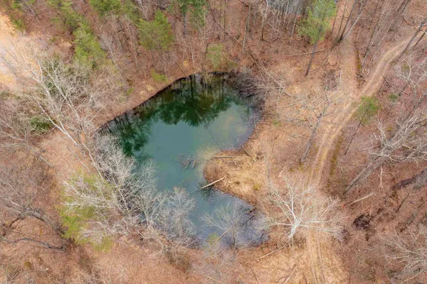 $550,000 | Lot 1 Hopkins Gap Road, Fulks Run, VA 22830