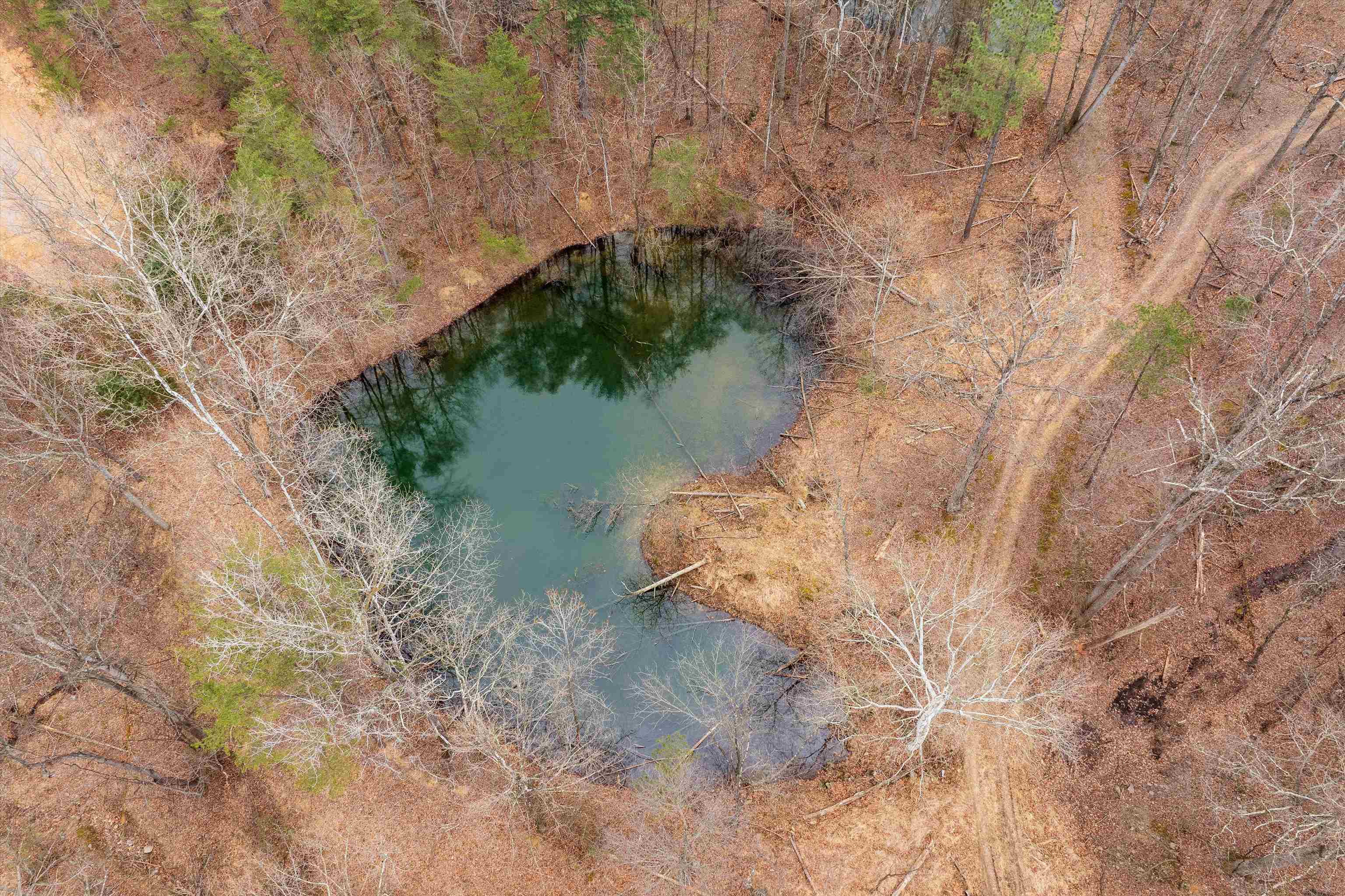 Lot 1 Hopkins Gap Road Fulks Run, VA 22830 - Photo 49 of 74