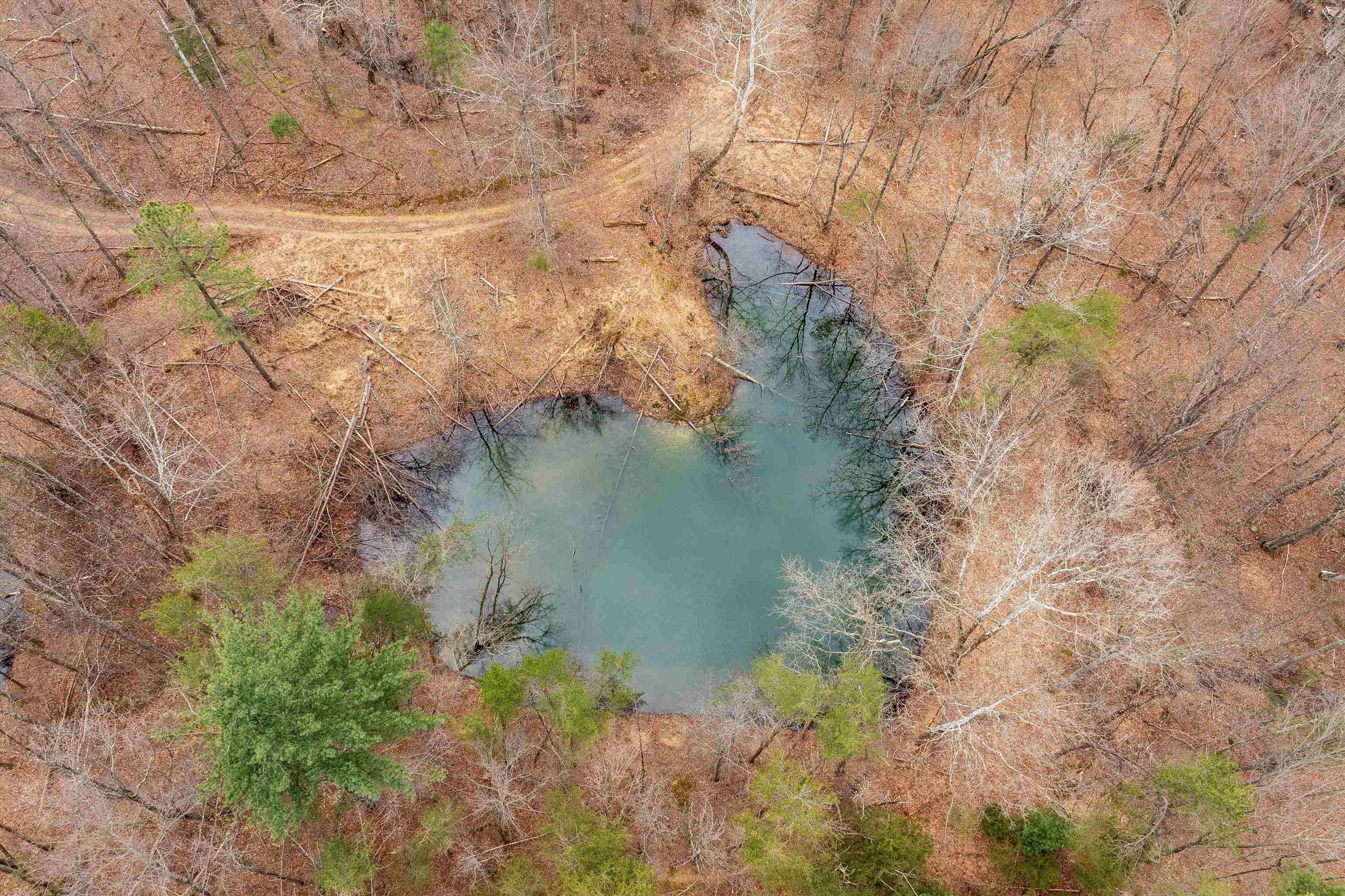 Lot 1 Hopkins Gap Road Fulks Run, VA 22830 - Photo 49 of 74