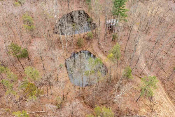 $550,000 | Lot 1 Hopkins Gap Road, Fulks Run, VA 22830