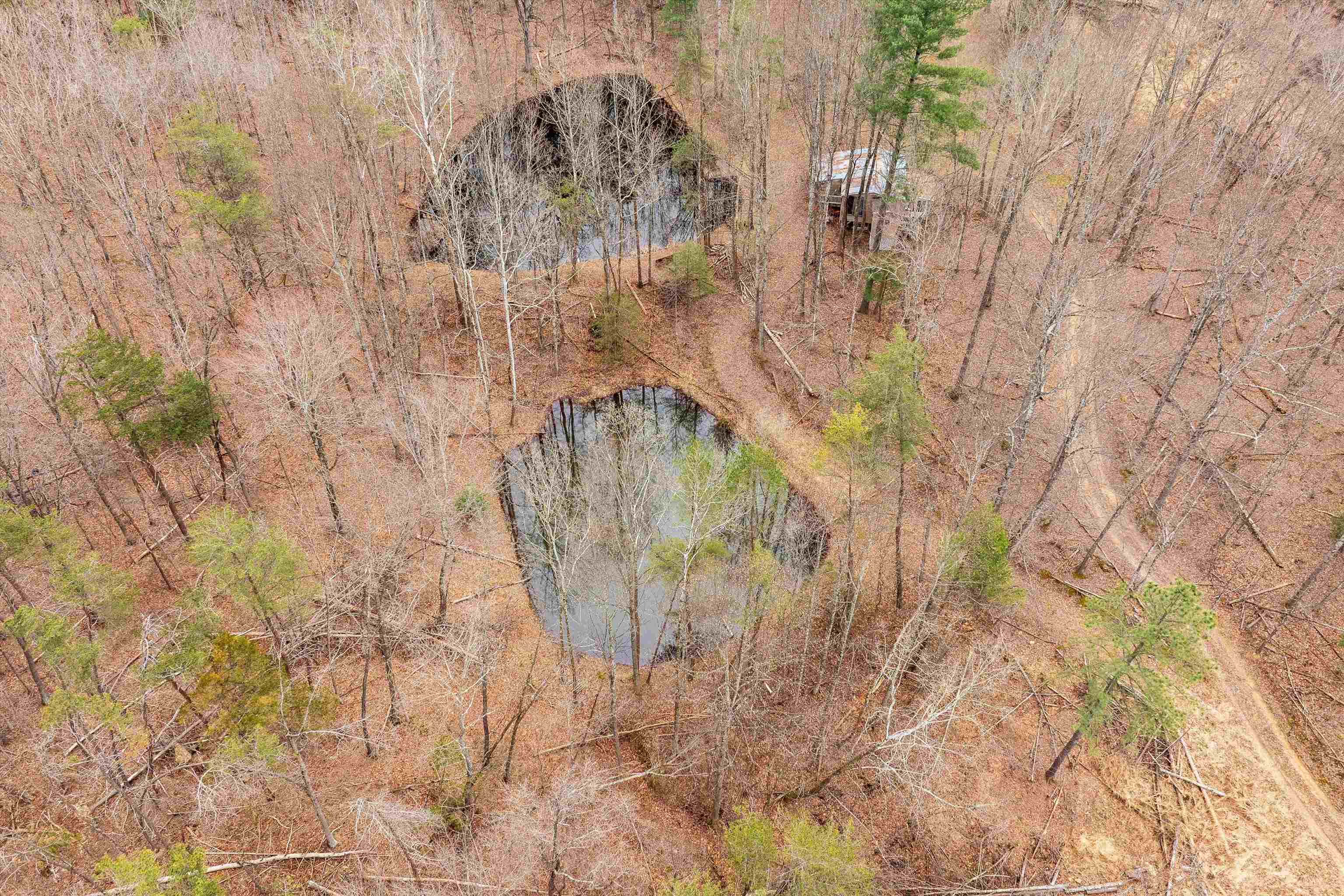 Lot 1 Hopkins Gap Road Fulks Run, VA 22830 - Photo 51 of 74