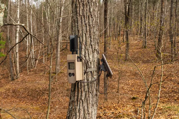 $550,000 | Lot 1 Hopkins Gap Road, Fulks Run, VA 22830