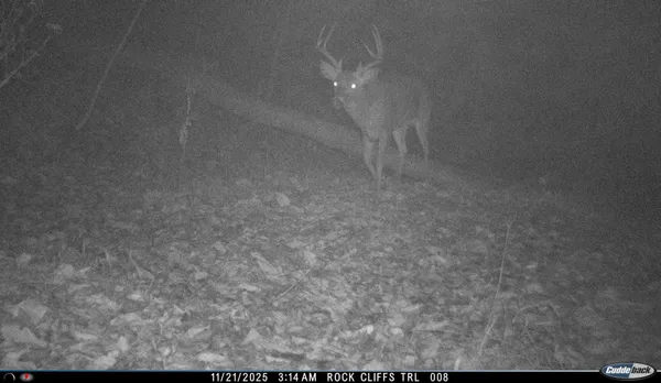 $550,000 | Lot 1 Hopkins Gap Road, Fulks Run, VA 22830