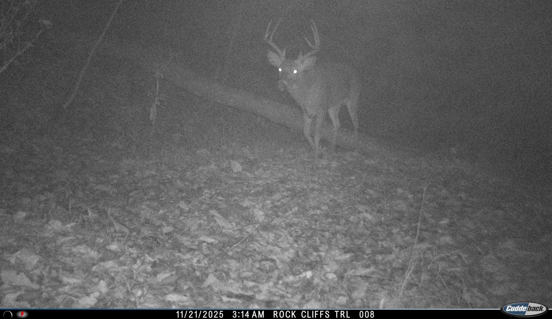 Lot 1 Hopkins Gap Road Fulks Run, VA 22830 - Photo 54 of 74