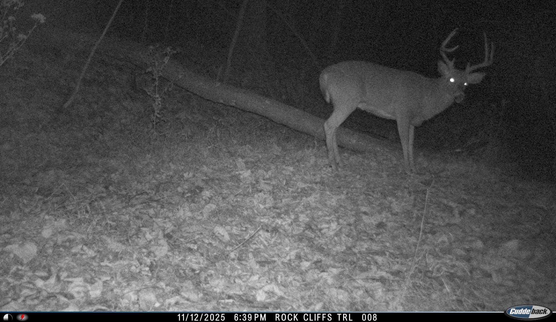 Lot 1 Hopkins Gap Road Fulks Run, VA 22830 - Photo 55 of 74