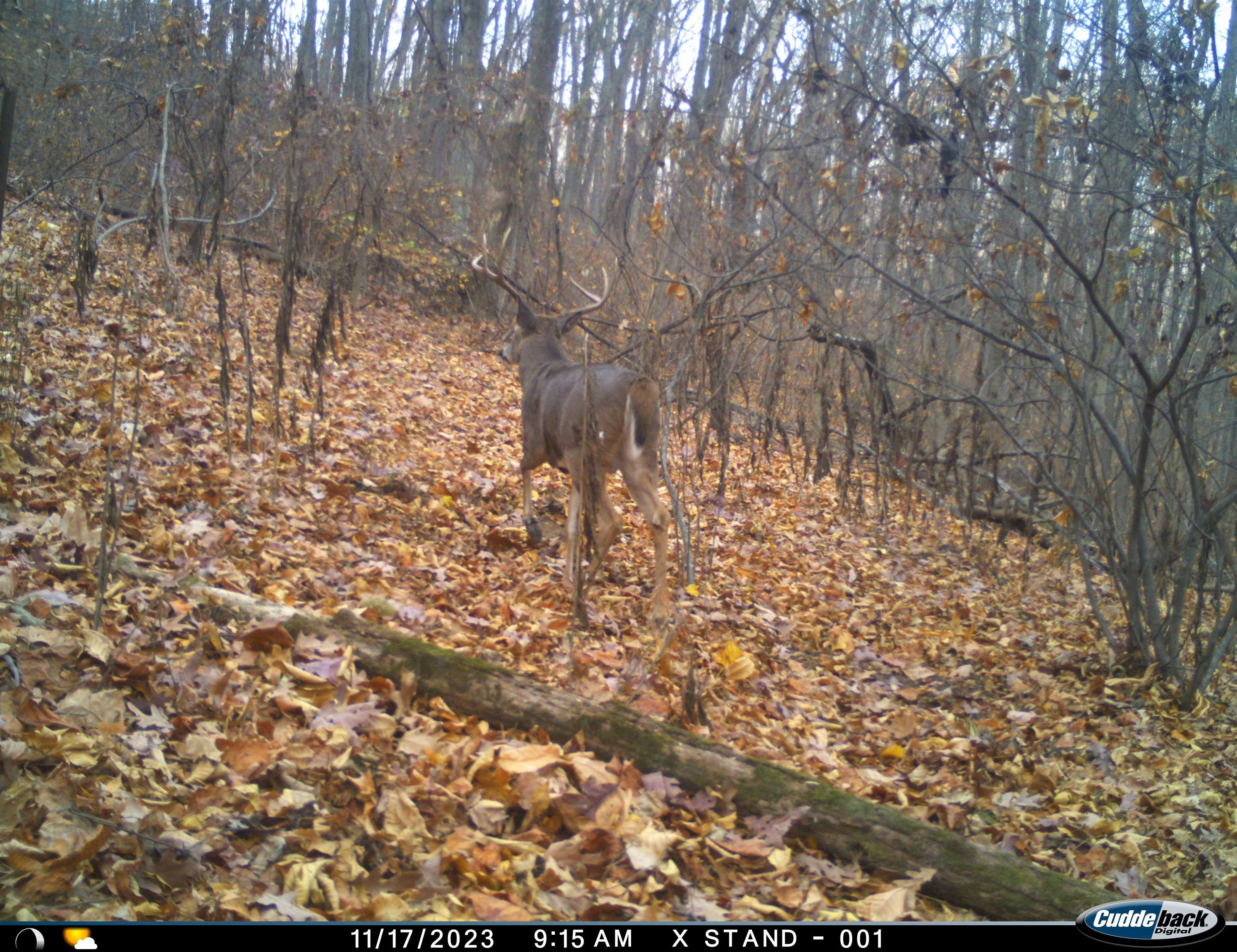 Lot 1 Hopkins Gap Road Fulks Run, VA 22830 - Photo 58 of 74