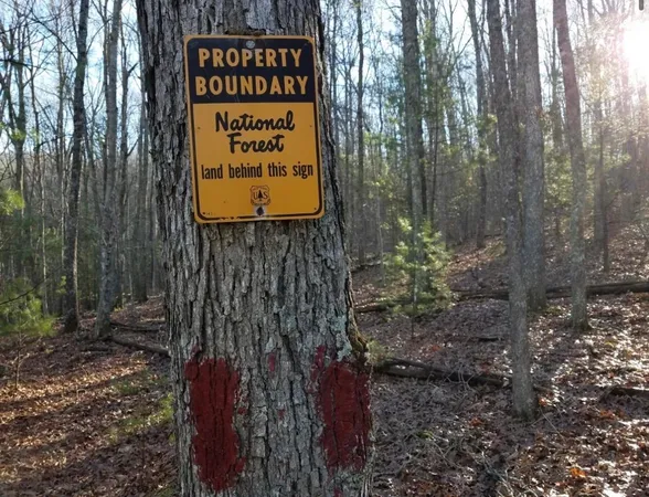 $550,000 | Lot 1 Hopkins Gap Road, Fulks Run, VA 22830