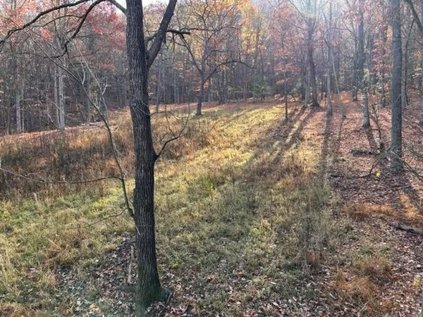 $550,000 | Lot 1 Hopkins Gap Road, Fulks Run, VA 22830