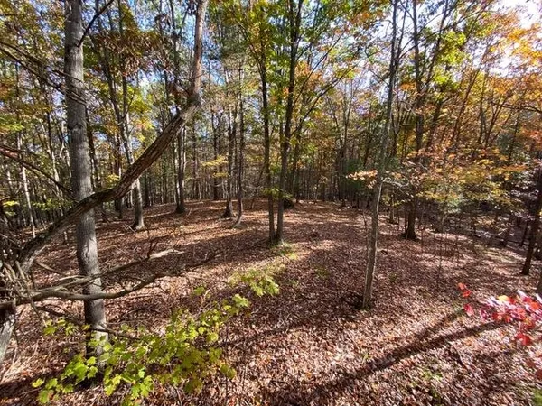 $550,000 | Lot 1 Hopkins Gap Road, Fulks Run, VA 22830
