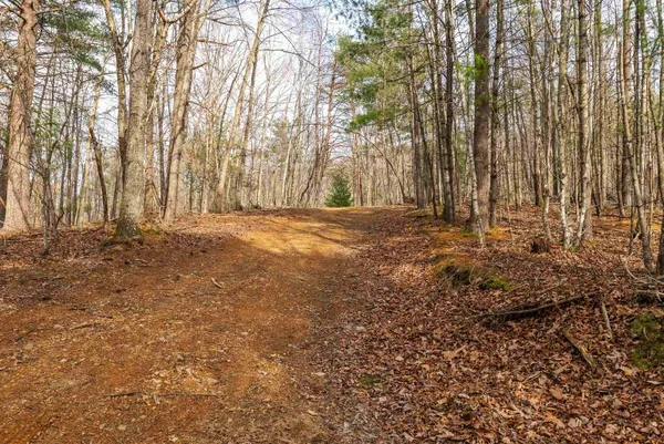 $550,000 | Lot 1 Hopkins Gap Road, Fulks Run, VA 22830