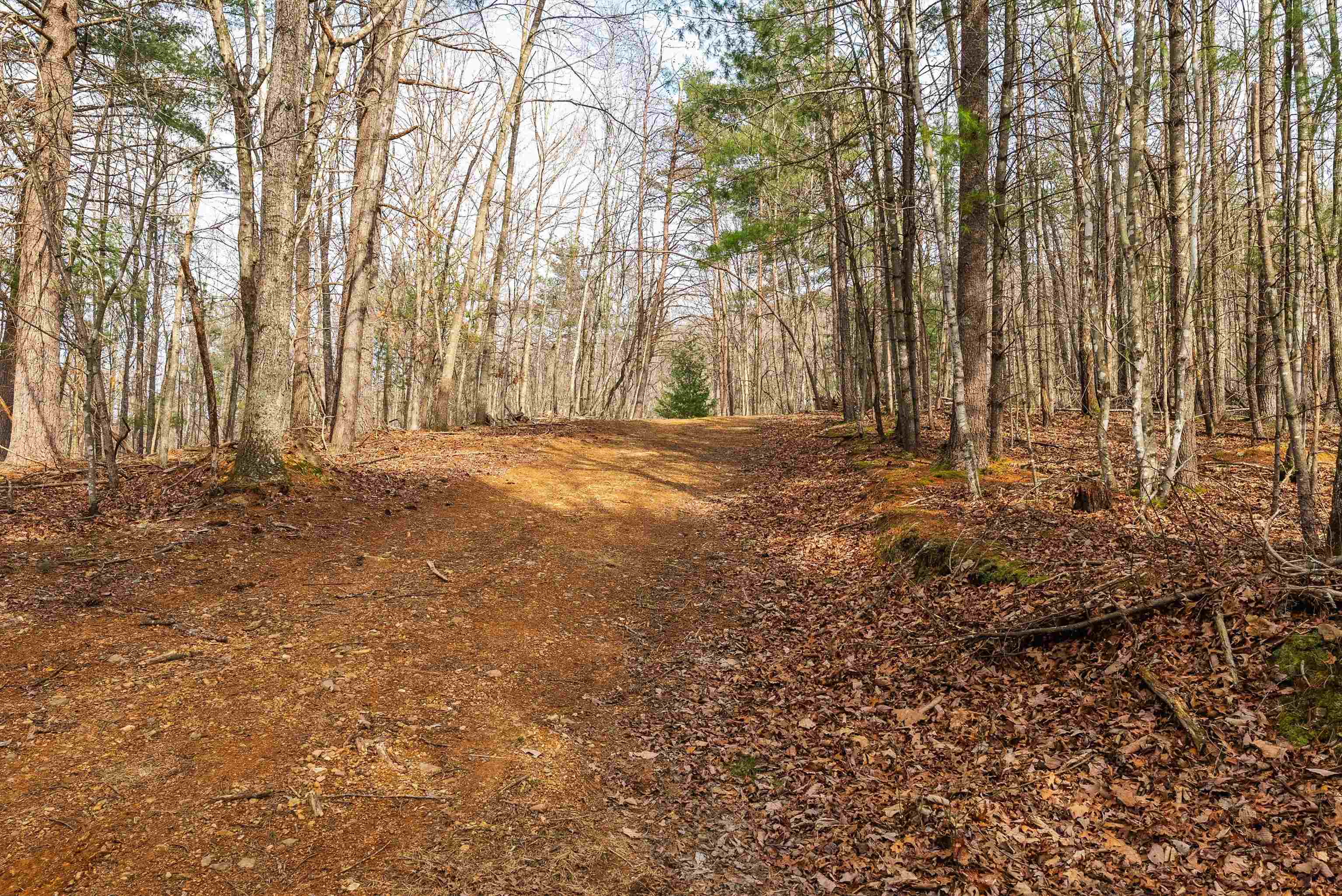 Lot 1 Hopkins Gap Road Fulks Run, VA 22830 - Photo 69 of 74