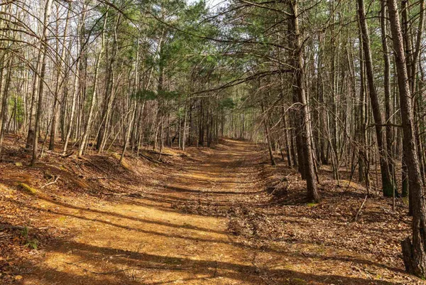 $550,000 | Lot 1 Hopkins Gap Road, Fulks Run, VA 22830