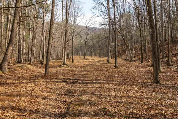 $550,000 | Lot 1 Hopkins Gap Road, Fulks Run, VA 22830