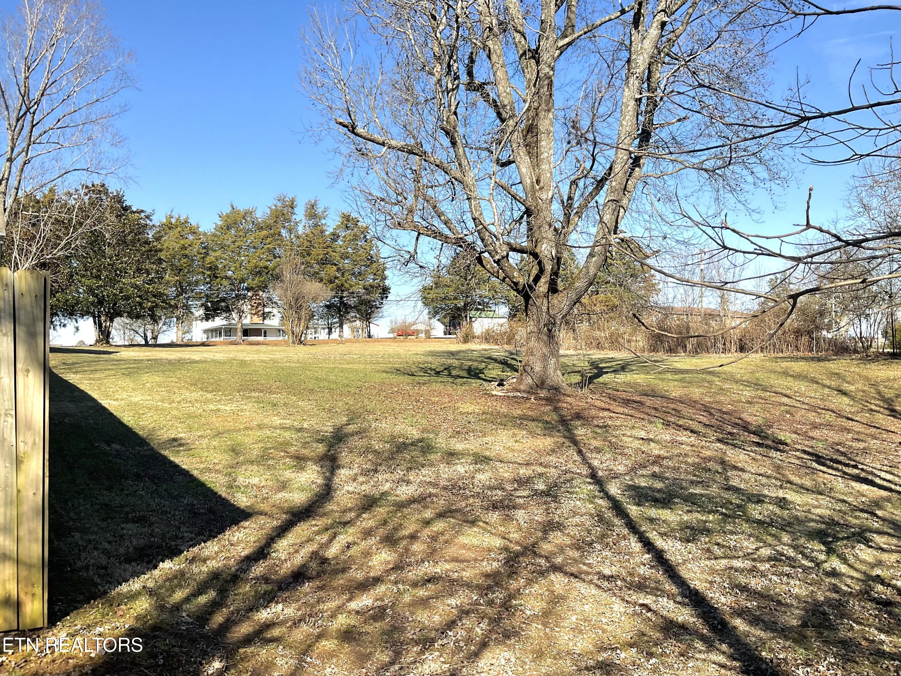 8116 Shelton Road Corryton, TN 37721 - Photo 27 of 28 Side yard part of acreage