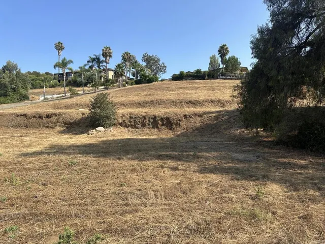 a view of dirt yard with a large tree