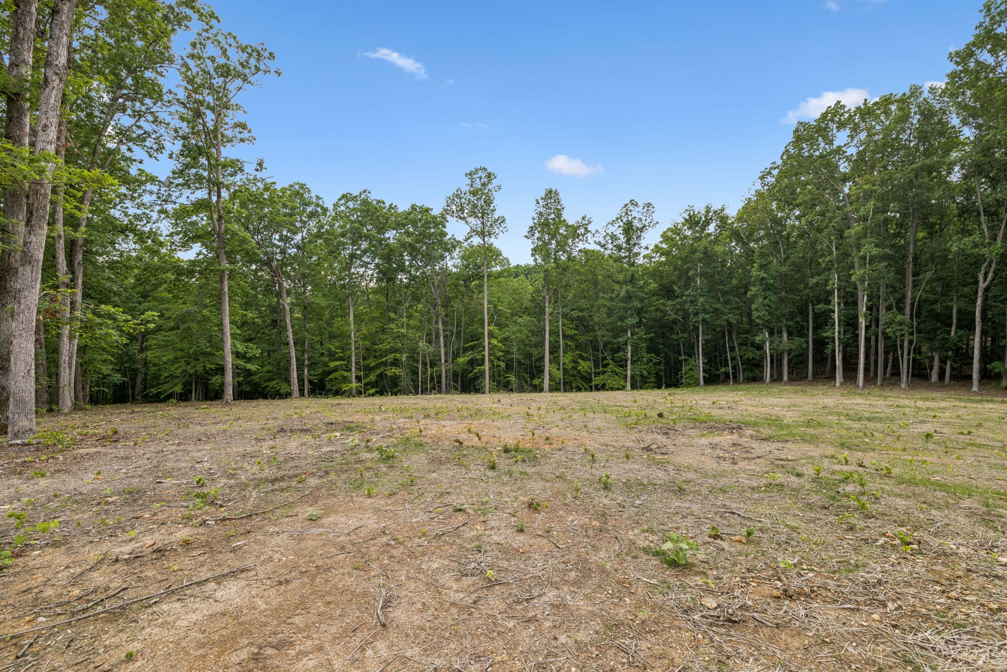 5610 Parker Branch Road Franklin, TN 37064 - Photo 12 of 25 Gallery Image 12