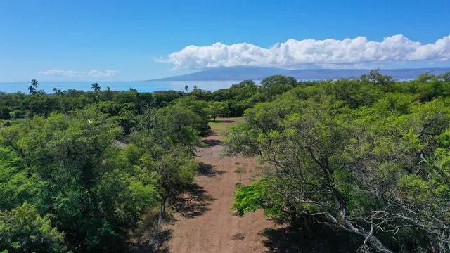 an aerial view of a house with mountain view