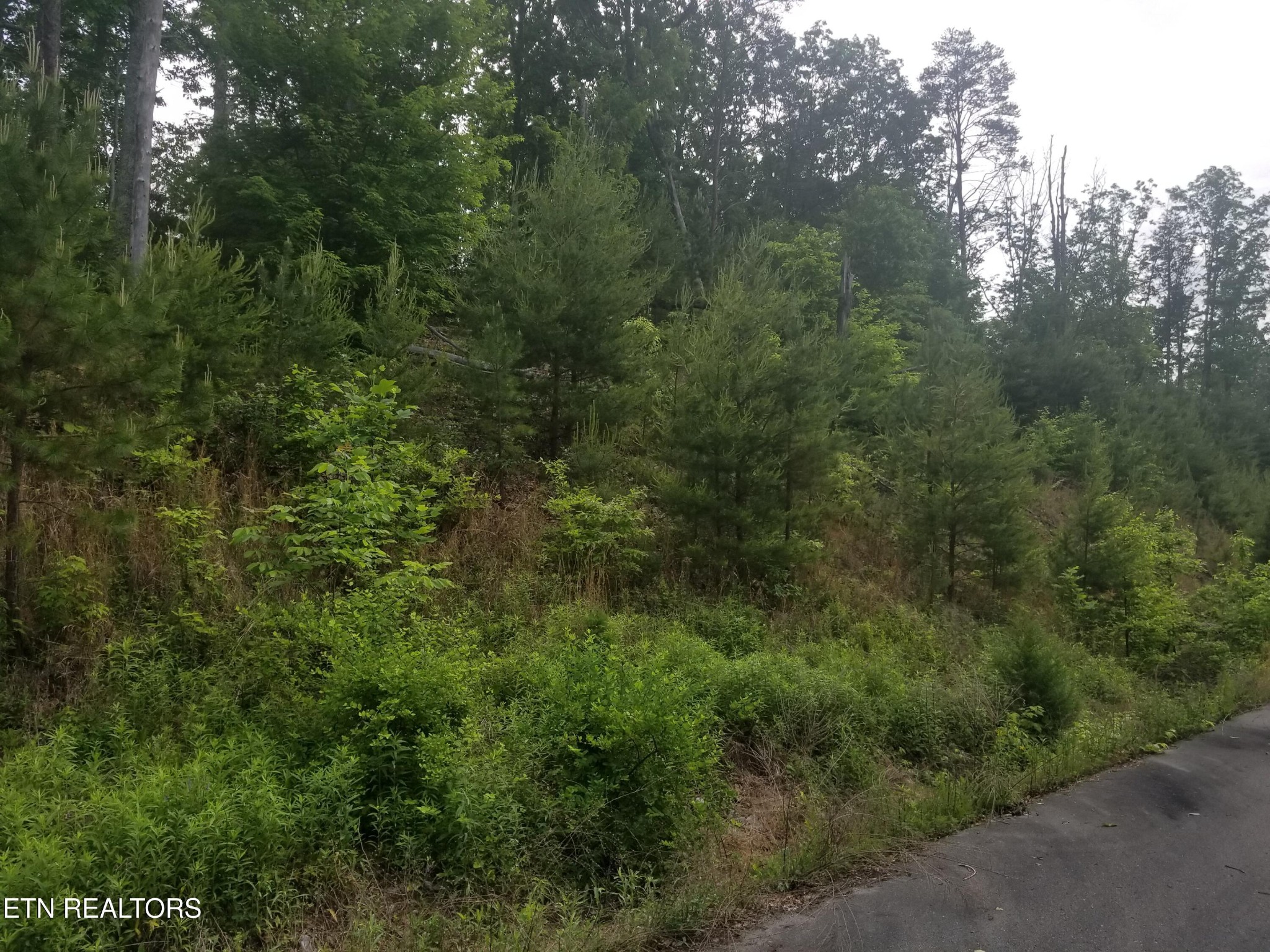 33 Bayside Boulevard Bean Station, TN 37708 - Photo 2 of 12 Gallery Image 2
