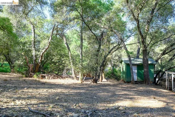 a view of a house with a yard tree and a tree
