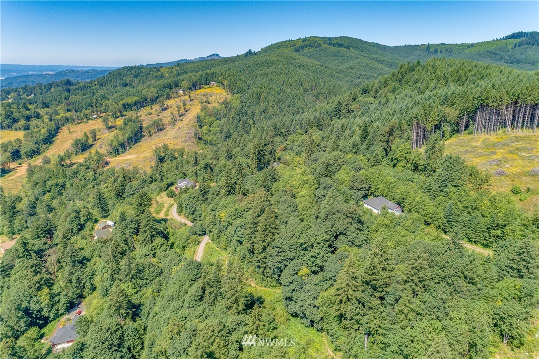 449 Hansen Ext Road Woodland, WA 98674 - Photo 13 of 20 Gallery Image 13