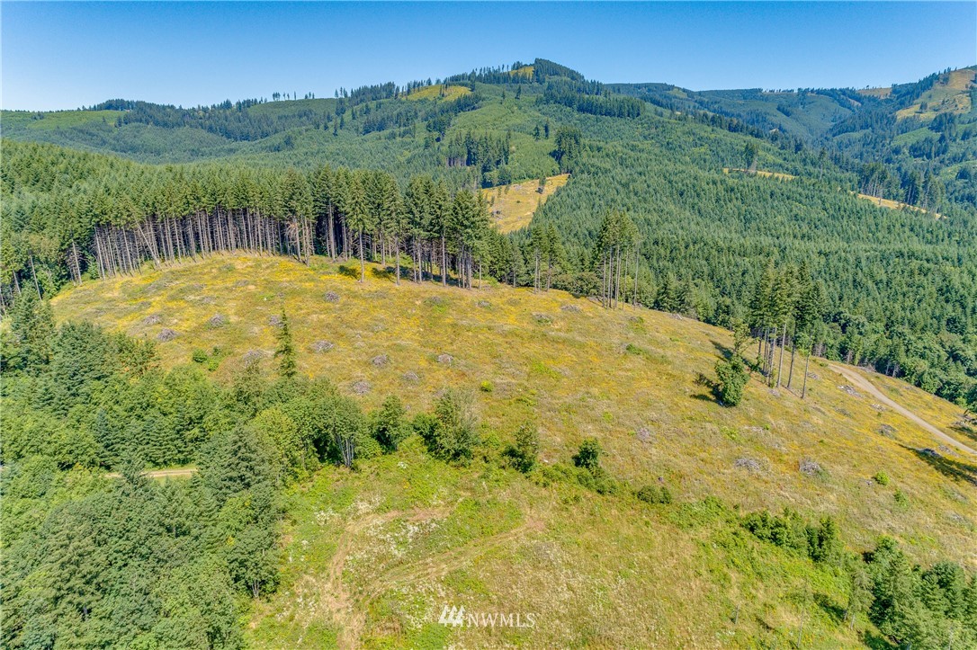 449 Hansen Ext Road Woodland, WA 98674 - Photo 14 of 20 Gallery Image 14