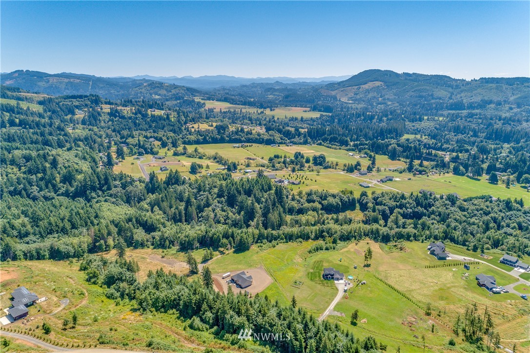 449 Hansen Ext Road Woodland, WA 98674 - Photo 16 of 20 Gallery Image 16