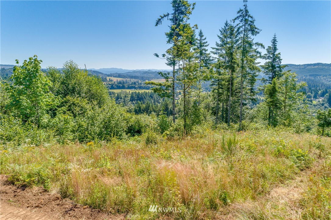 449 Hansen Ext Road Woodland, WA 98674 - Photo 18 of 20 Gallery Image 18