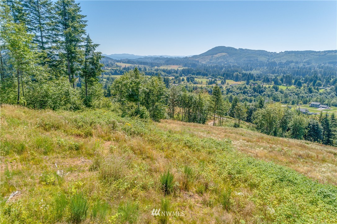449 Hansen Ext Road Woodland, WA 98674 - Photo 19 of 20 Gallery Image 19