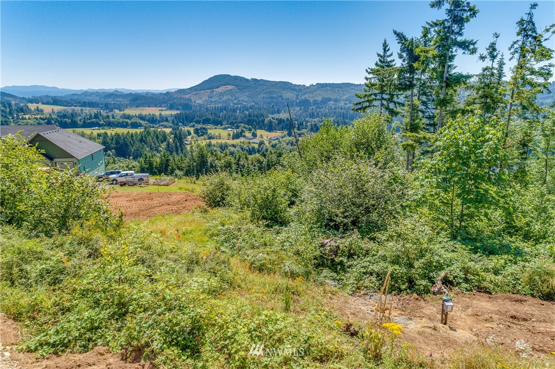 449 Hansen Ext Road Woodland, WA 98674 - Photo 20 of 20 Gallery Image 20