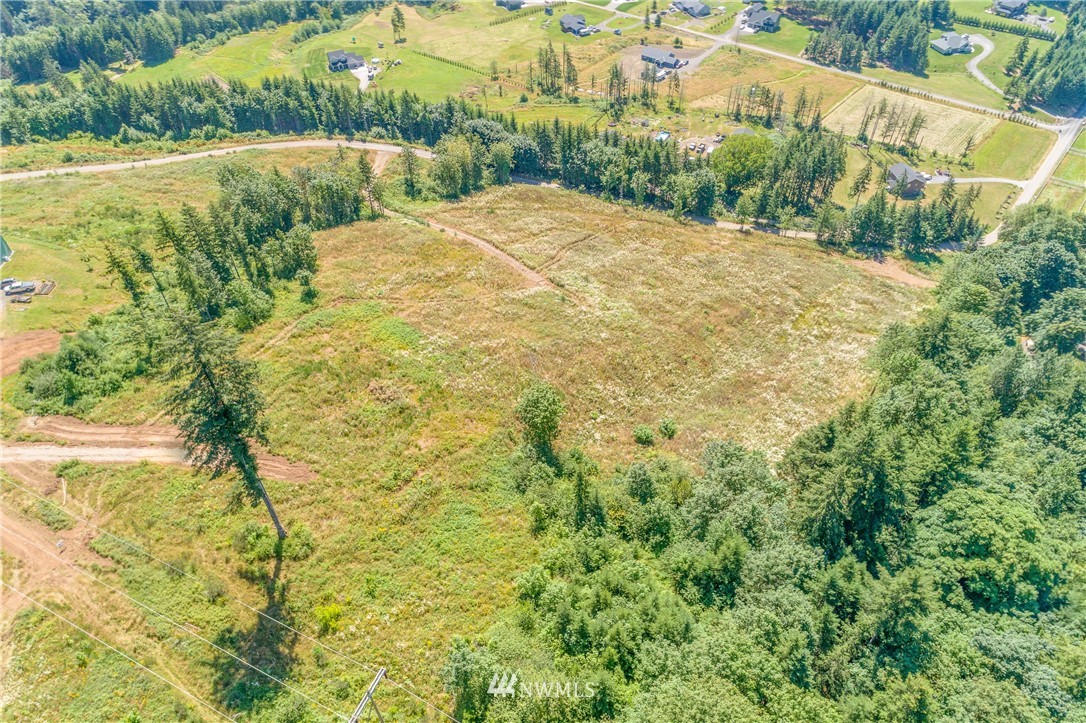 449 Hansen Ext Road Woodland, WA 98674 - Photo 3 of 20 Gallery Image 3