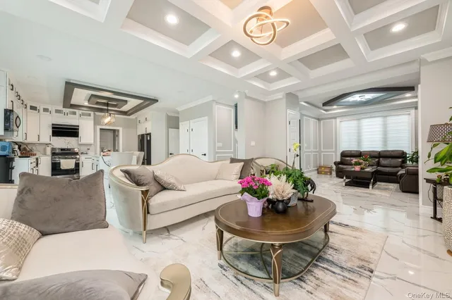 a living room with furniture flowerpot and a chandelier